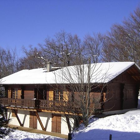 Saint-Paul-en-Chablais Appartement Chalet Renove 6 Pers Avec Terrasse Proche Evian, Ski Et Randonnee - Fr-1-498-29 מראה חיצוני תמונה